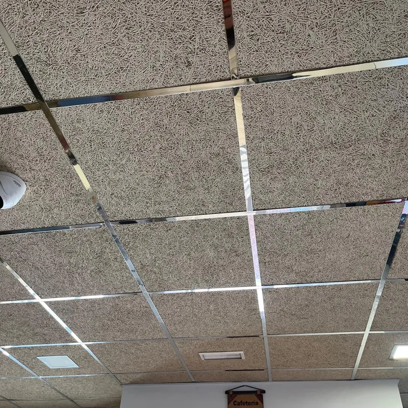 Techo desmontable con perfilería de cristal — Fuengirola