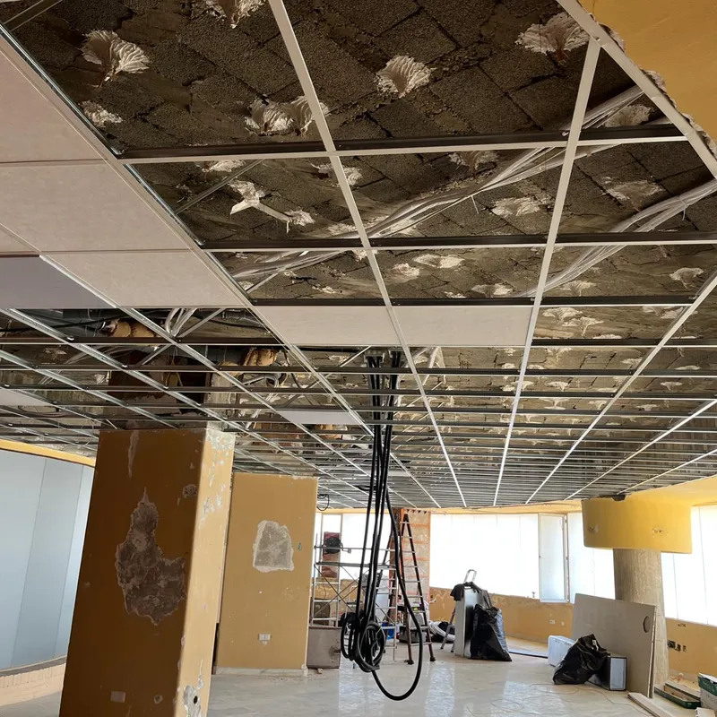 Techo desmontable 60×60 — Benalmádena